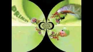 Primus - "Last Salmon Man" (33 1/3 to 45 + pitch correction)