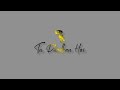 Jaha Tu Hai Waha Main Hoon Status Song No Copyright