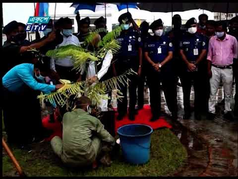 শেখ হাসিনা সরকারের আমলে গণমাধ্যম, মুক্ত বিহঙ্গের মতো বিচরণ করছে