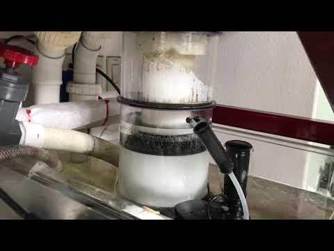 Watch Video on YouTube