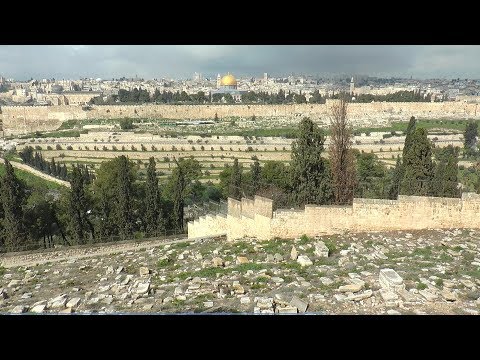 Hodočašće Šibenske biskupije u Svetu Zemlju 12. - 19. 03. 2019.