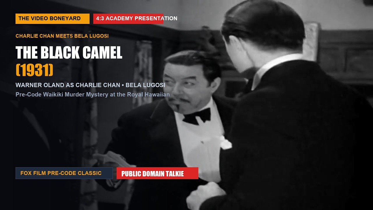 The Black Camel