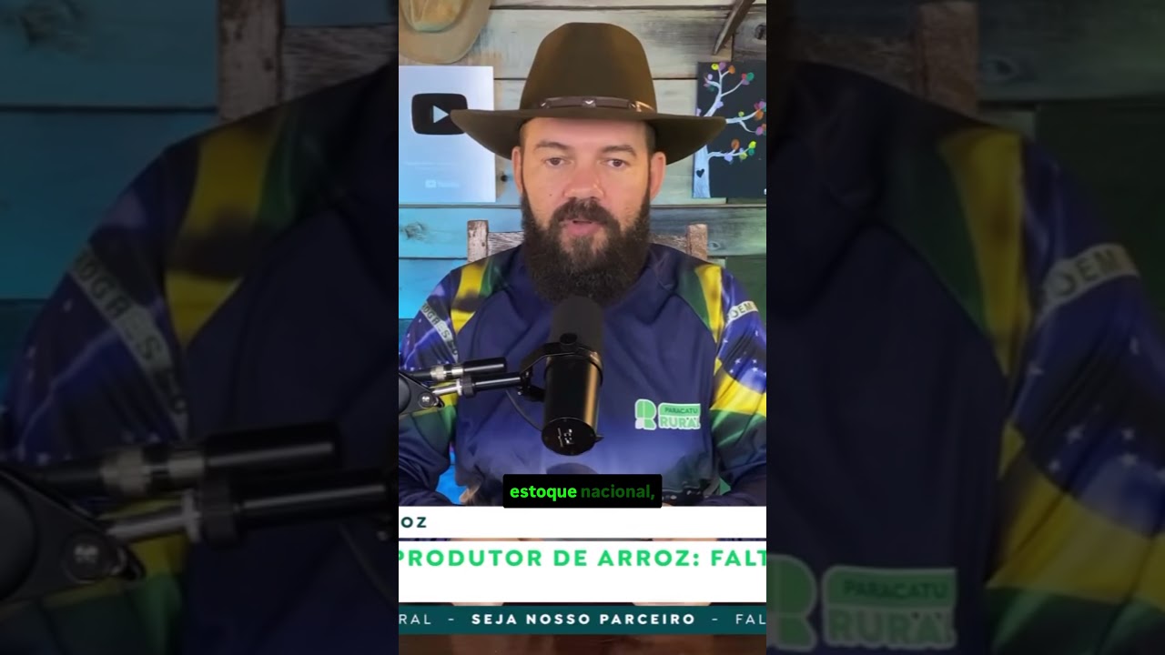 O Dilema do Produtor de Arroz: Falta de apoio e custos elevados