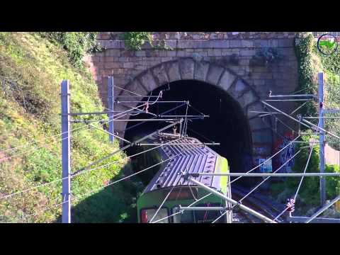 8300 Class Dart Train - Killiney, Northbound