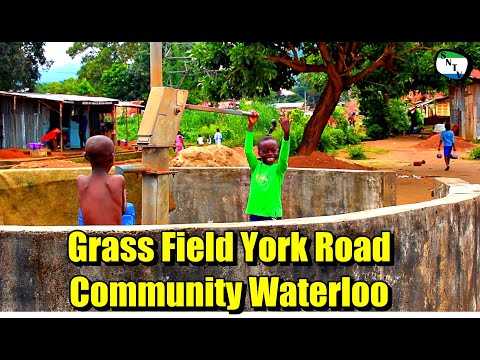 Talk To The Camera - Grass field York Road Community, Waterloo - Sierra Leone