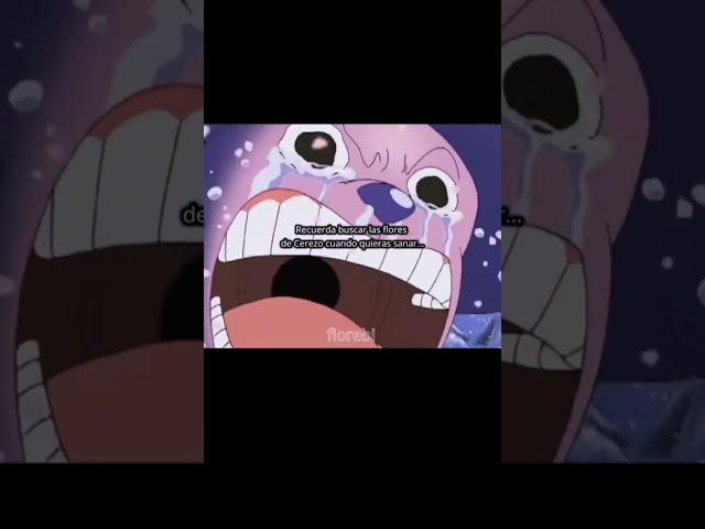 Vídeo relacionado con One Piece Chopper Portrait Oficialmente Autorizado Sudadera con Capucha