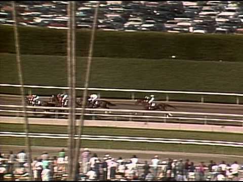 1986 Breeders' Cup Classic