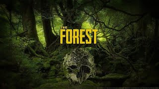 The Forest配信#1　ふくろう/owl のライブ配信
