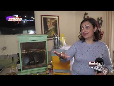 L'ape nera sicula e il suo miele