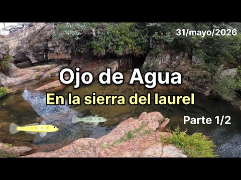 OJO DE AGUA en la sierra del laurel 