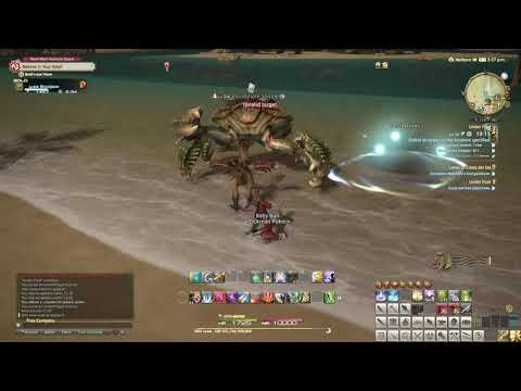 FFXIV - Leves Of Costa Del Sol