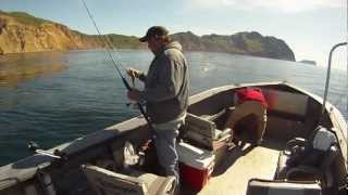 preview picture of video 'Chignik Alaska Lingcod Fishing'