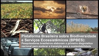 Miniatura do vídeo