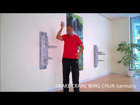 Das beste Selbstverteidigungssystem