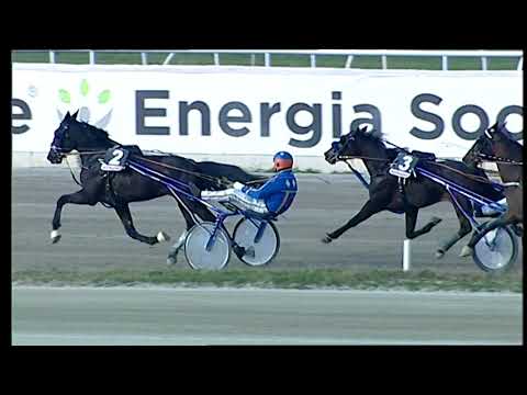 Napoli Trotto 06/02/2022 - 2ª corsa