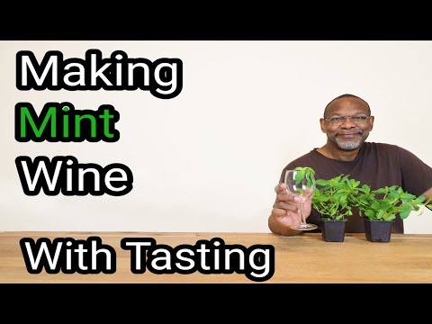 Making Mint Wine 10.7% ABV