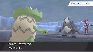 ノリと勢いで生きる枠　13回目　ポケモン盾実況その8