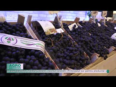 , title : 'Cum recoltăm și depozităm corect strugurii de masă? – AGRO TV News'