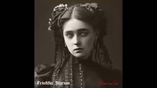 Video Tristitia Nigrum - Clouds and Sins 2024