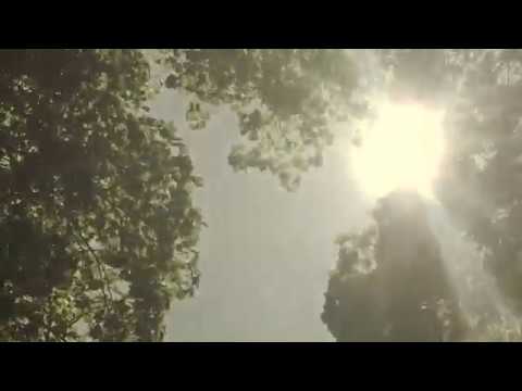 Caroline Davis and Rob Clearfield's Persona - Anthems