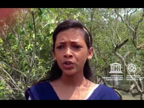 Sudeshna #MyOceanPledge Sundarbans National Park World Heritage marine site