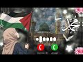 Jis Din Hum Maidan Me Aayenge Palestine Ringtone Islamic Sad Naat Freepalestine Ringtone