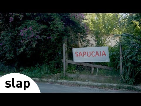 Silva - Sapucaia (Álbum Brasileiro)