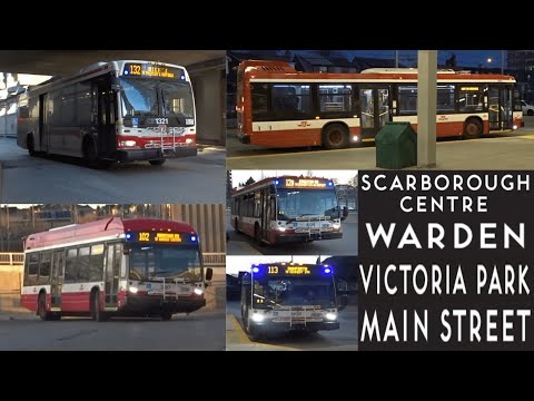 TTC Bus Compilation {1}