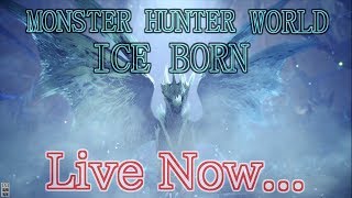【MHW:I】ついにMR70突破!!装飾品収穫などなどまぁ...MR100目指す配信!!【概要欄みてね】