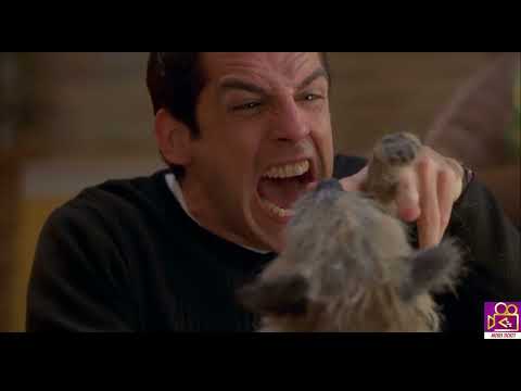 Ben Stiller dog fight