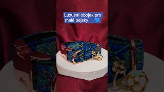 Emerald Night – Luxusní žakárový obojek pro malé psy