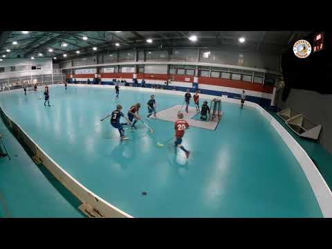 9.2.2019 Ervi Blue vs. Tikkurilan Tiikerit Sininen