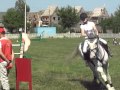 Буковинська Троя. Змагання з конкуру "Bucovina Horse Tour" 