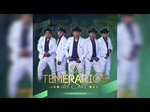 LOS TEMERARIOS DEL SUR - PARTIDO EN DOS