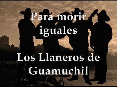 los llaneros de guamuchil mix los llaneros de guamuchil mix