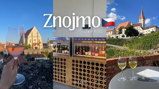 【trip vlog】ワインの町チェコ・ズノイモで過ごす週末 | 美酒美食に酔いしれる | ジブリのような町並み | 観光客少なめの静かな町 | アラサー夫婦旅 | お気に入りの場所