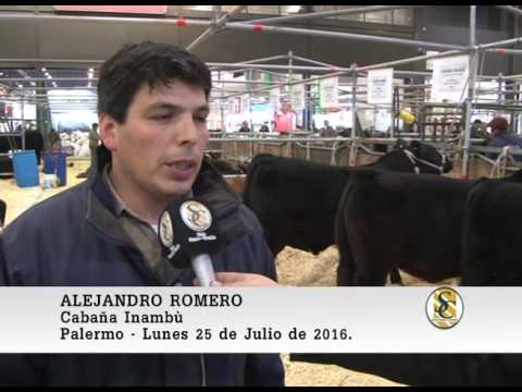 25-07-16 Nota Alejandro Romero - (Cabaña Inambù ) -  Palermo 2016.
