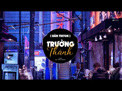 ( Bản Hot TikTok ) Trưởng Thành Remix - DimZ x Đại Mèo | Mỗi Mùa Xuân Lại Trôi Mắt Mẹ Thêm Nếp Nhăn