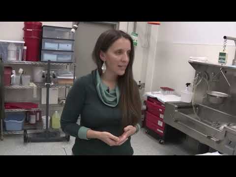 The GBI Medical Examiner’s Work to Solve Cold Cases