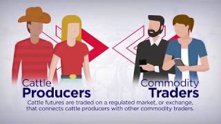 Cattle Futures Market 101
