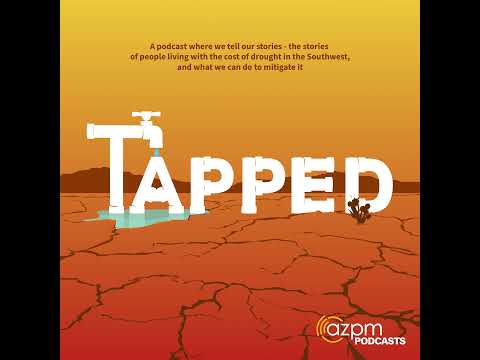 The Murky Waters of International Wetland Policy | Golden Age