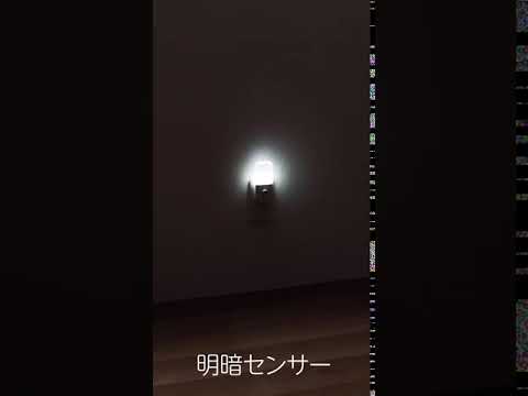 ナイトライト明暗｜YAZAWA CORPORATION