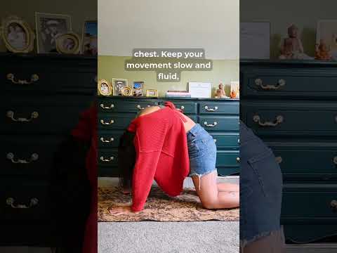 Cat‑Cow for TMS Brain Injury Recovery 🧠💛 #nervoussystemregulation