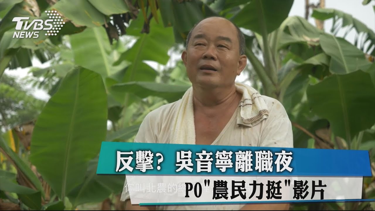 反擊?吳音寧離職夜Po「農民力挺」影片