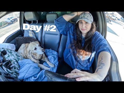 Driving Across States: Our Longest Road Trip Ever