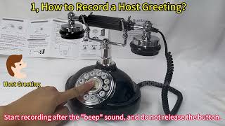 ROOMEDAL audio guest book wedding phone