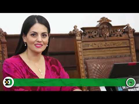 🖋️ LOS POLÍTICOS - Abusones