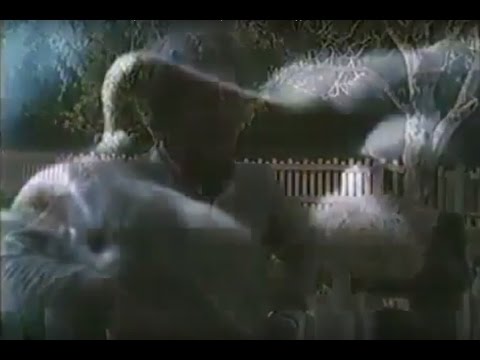 Australia's Most Haunted