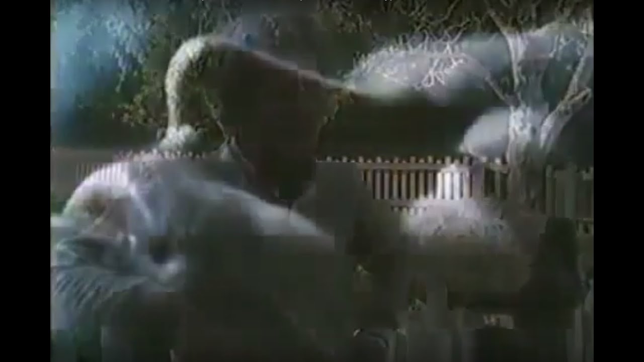 Australia's Most Haunted