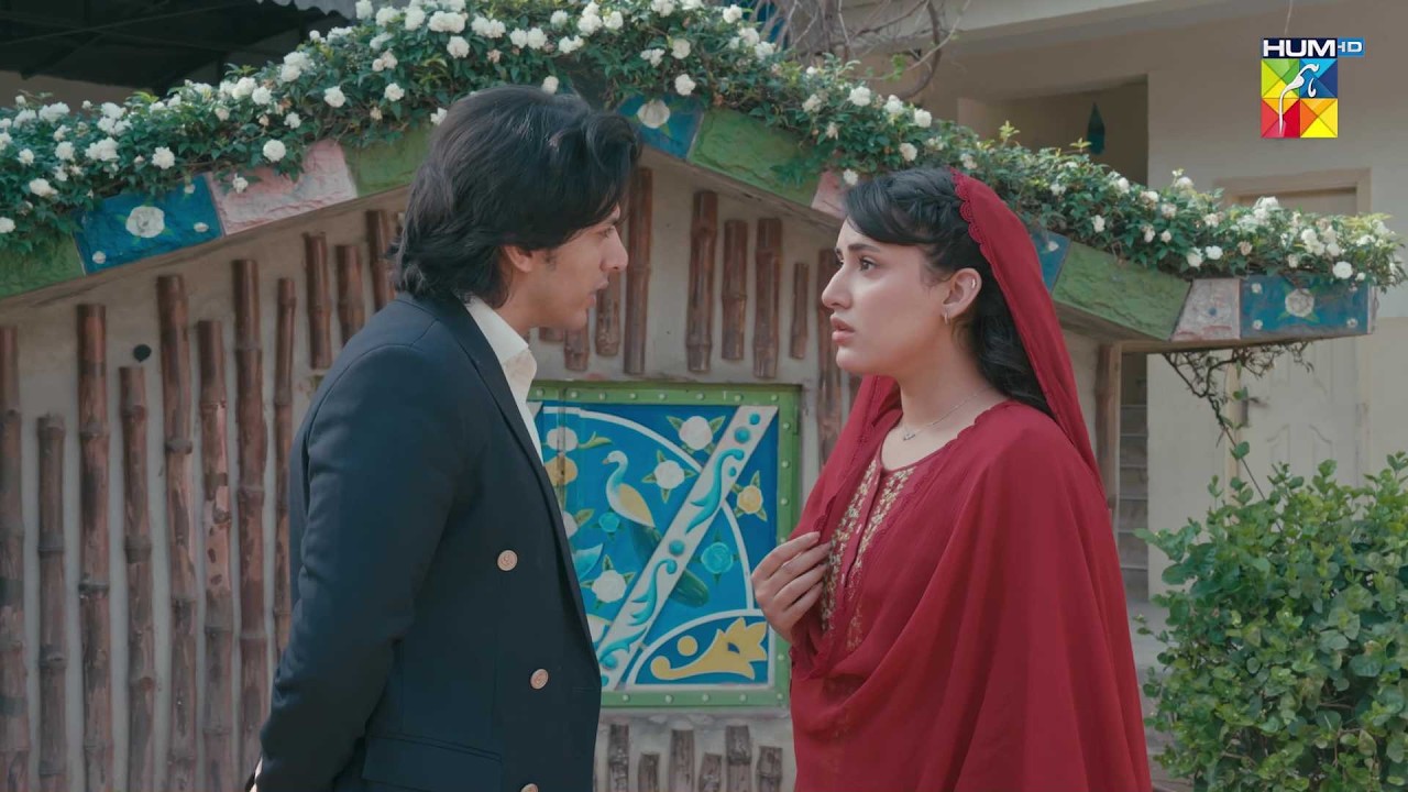 Bano Ne Khawab Mein Sirbuland Ko Qatal Hoty Dekh..? #sajalaly - Zanjeerain - HUM TV